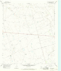 Flynt Ranch Texas Historical topographic map, 1:24000 scale, 7.5 X 7.5 Minute, Year 1966