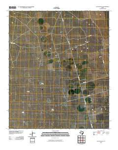 Flynt Ranch Texas Historical topographic map, 1:24000 scale, 7.5 X 7.5 Minute, Year 2010