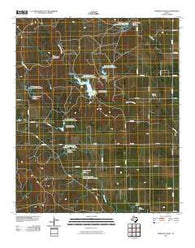 Foreman Chapel Texas Historical topographic map, 1:24000 scale, 7.5 X 7.5 Minute, Year 2010