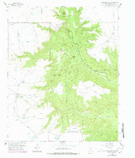 Fortress Cliff Texas Historical topographic map, 1:24000 scale, 7.5 X 7.5 Minute, Year 1956