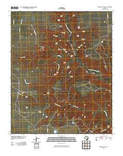 Fortress Cliff Texas Historical topographic map, 1:24000 scale, 7.5 X 7.5 Minute, Year 2010