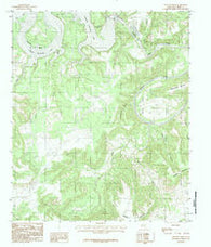 Fortune Bend Texas Historical topographic map, 1:24000 scale, 7.5 X 7.5 Minute, Year 1984