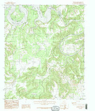 Fortune Bend Texas Historical topographic map, 1:24000 scale, 7.5 X 7.5 Minute, Year 1984