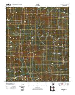 Fourmile Hill Texas Historical topographic map, 1:24000 scale, 7.5 X 7.5 Minute, Year 2010