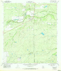 Fowlerton Texas Historical topographic map, 1:24000 scale, 7.5 X 7.5 Minute, Year 1969