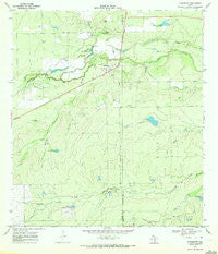Fowlerton Texas Historical topographic map, 1:24000 scale, 7.5 X 7.5 Minute, Year 1969