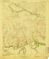Fowlkes Texas Historical topographic map, 1:31680 scale, 7.5 X 7.5 Minute, Year 1919