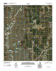 Franklin Lake Texas Historical topographic map, 1:24000 scale, 7.5 X 7.5 Minute, Year 2010