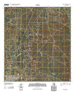 Freer North Texas Historical topographic map, 1:24000 scale, 7.5 X 7.5 Minute, Year 2010
