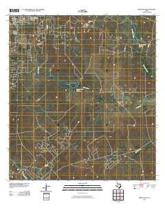 Freer South Texas Historical topographic map, 1:24000 scale, 7.5 X 7.5 Minute, Year 2010
