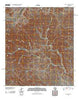 Fresno Creek Texas Historical topographic map, 1:24000 scale, 7.5 X 7.5 Minute, Year 2010