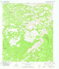 Friend Mountain Texas Historical topographic map, 1:24000 scale, 7.5 X 7.5 Minute, Year 1978