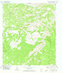 Friend Mountain Texas Historical topographic map, 1:24000 scale, 7.5 X 7.5 Minute, Year 1978