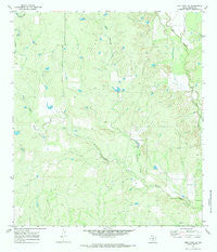 Frio Town NE Texas Historical topographic map, 1:24000 scale, 7.5 X 7.5 Minute, Year 1970