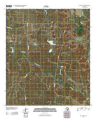 Frio Town NE Texas Historical topographic map, 1:24000 scale, 7.5 X 7.5 Minute, Year 2010