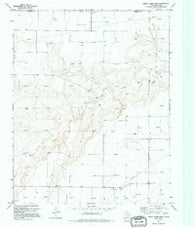 Frisco Creek West Texas Historical topographic map, 1:24000 scale, 7.5 X 7.5 Minute, Year 1974