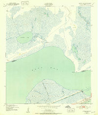 Frozen Point Texas Historical topographic map, 1:24000 scale, 7.5 X 7.5 Minute, Year 1943