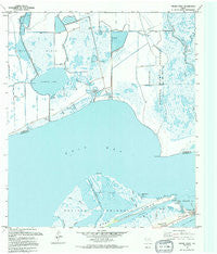 Frozen Point Texas Historical topographic map, 1:24000 scale, 7.5 X 7.5 Minute, Year 1994