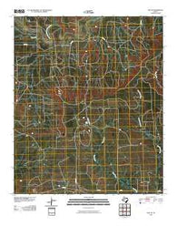 Gail NE Texas Historical topographic map, 1:24000 scale, 7.5 X 7.5 Minute, Year 2010