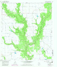 Ganado NE Texas Historical topographic map, 1:24000 scale, 7.5 X 7.5 Minute, Year 1965