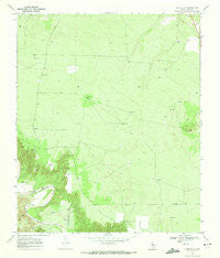 Gant Hills Texas Historical topographic map, 1:24000 scale, 7.5 X 7.5 Minute, Year 1969