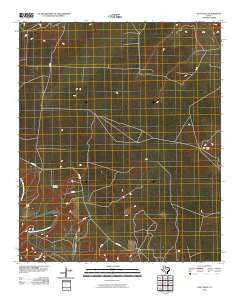 Gant Hills Texas Historical topographic map, 1:24000 scale, 7.5 X 7.5 Minute, Year 2010