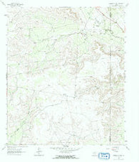 Garden City NE Texas Historical topographic map, 1:24000 scale, 7.5 X 7.5 Minute, Year 1963