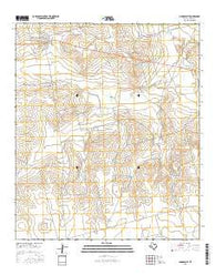 Garden City Texas Current topographic map, 1:24000 scale, 7.5 X 7.5 Minute, Year 2016