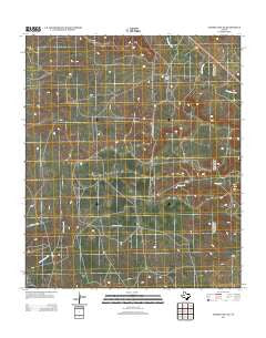 Garden City NE Texas Historical topographic map, 1:24000 scale, 7.5 X 7.5 Minute, Year 2012