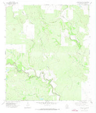 Garner Field NE Texas Historical topographic map, 1:24000 scale, 7.5 X 7.5 Minute, Year 1971
