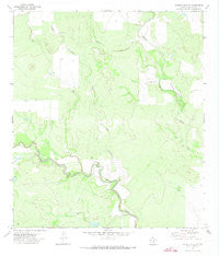 Garner Field NE Texas Historical topographic map, 1:24000 scale, 7.5 X 7.5 Minute, Year 1971