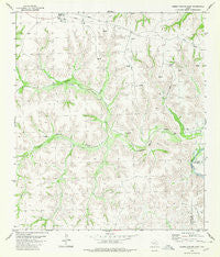 Geddis Canyon East Texas Historical topographic map, 1:24000 scale, 7.5 X 7.5 Minute, Year 1980
