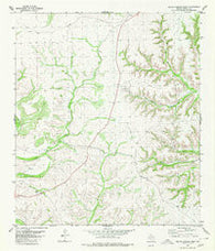Geddis Canyon West Texas Historical topographic map, 1:24000 scale, 7.5 X 7.5 Minute, Year 1980