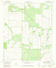 Ginsite Texas Historical topographic map, 1:24000 scale, 7.5 X 7.5 Minute, Year 1968