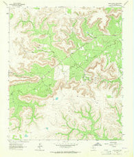 Glass Ranch Texas Historical topographic map, 1:24000 scale, 7.5 X 7.5 Minute, Year 1963