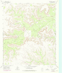Glass Ranch Texas Historical topographic map, 1:24000 scale, 7.5 X 7.5 Minute, Year 1963