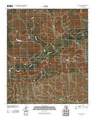 Glass Ranch Texas Historical topographic map, 1:24000 scale, 7.5 X 7.5 Minute, Year 2010