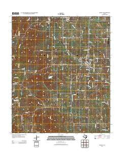 Godley Texas Historical topographic map, 1:24000 scale, 7.5 X 7.5 Minute, Year 2012
