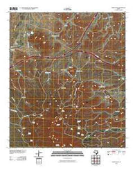 Gomez Peak Texas Historical topographic map, 1:24000 scale, 7.5 X 7.5 Minute, Year 2010