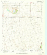 Gooch Lake Texas Historical topographic map, 1:24000 scale, 7.5 X 7.5 Minute, Year 1969
