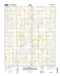 Grassland Texas Current topographic map, 1:24000 scale, 7.5 X 7.5 Minute, Year 2016