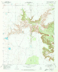 Grassland SE Texas Historical topographic map, 1:24000 scale, 7.5 X 7.5 Minute, Year 1969