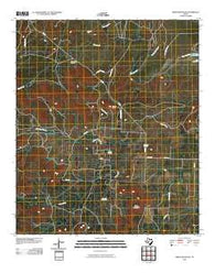 Green Mountain Texas Historical topographic map, 1:24000 scale, 7.5 X 7.5 Minute, Year 2010