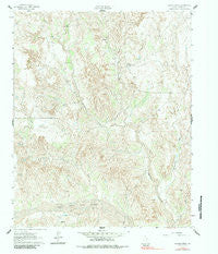 Griffin Ranch Texas Historical topographic map, 1:24000 scale, 7.5 X 7.5 Minute, Year 1962