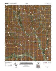 Griffin Ranch Texas Historical topographic map, 1:24000 scale, 7.5 X 7.5 Minute, Year 2010