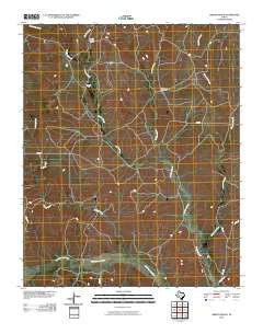 Griffin Ranch Texas Historical topographic map, 1:24000 scale, 7.5 X 7.5 Minute, Year 2010