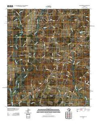 Gum Springs Texas Historical topographic map, 1:24000 scale, 7.5 X 7.5 Minute, Year 2010