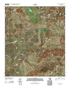 Halls Bluff Texas Historical topographic map, 1:24000 scale, 7.5 X 7.5 Minute, Year 2010