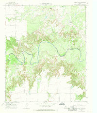 Halsell Ranch Texas Historical topographic map, 1:24000 scale, 7.5 X 7.5 Minute, Year 1966