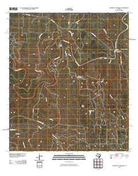 Hammetts Crossing Texas Historical topographic map, 1:24000 scale, 7.5 X 7.5 Minute, Year 2010